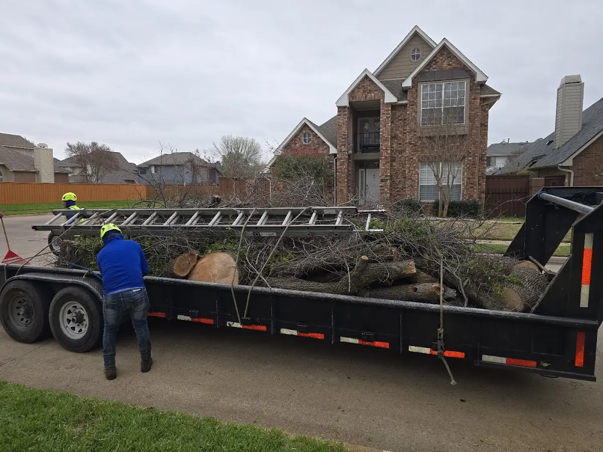 Expert Tree Pest Control with proper safety equipment in Brewerton